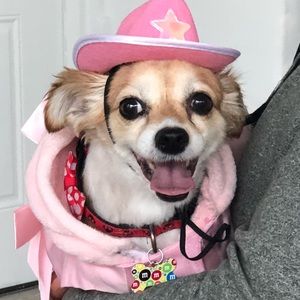 Meet your Posher, Irma